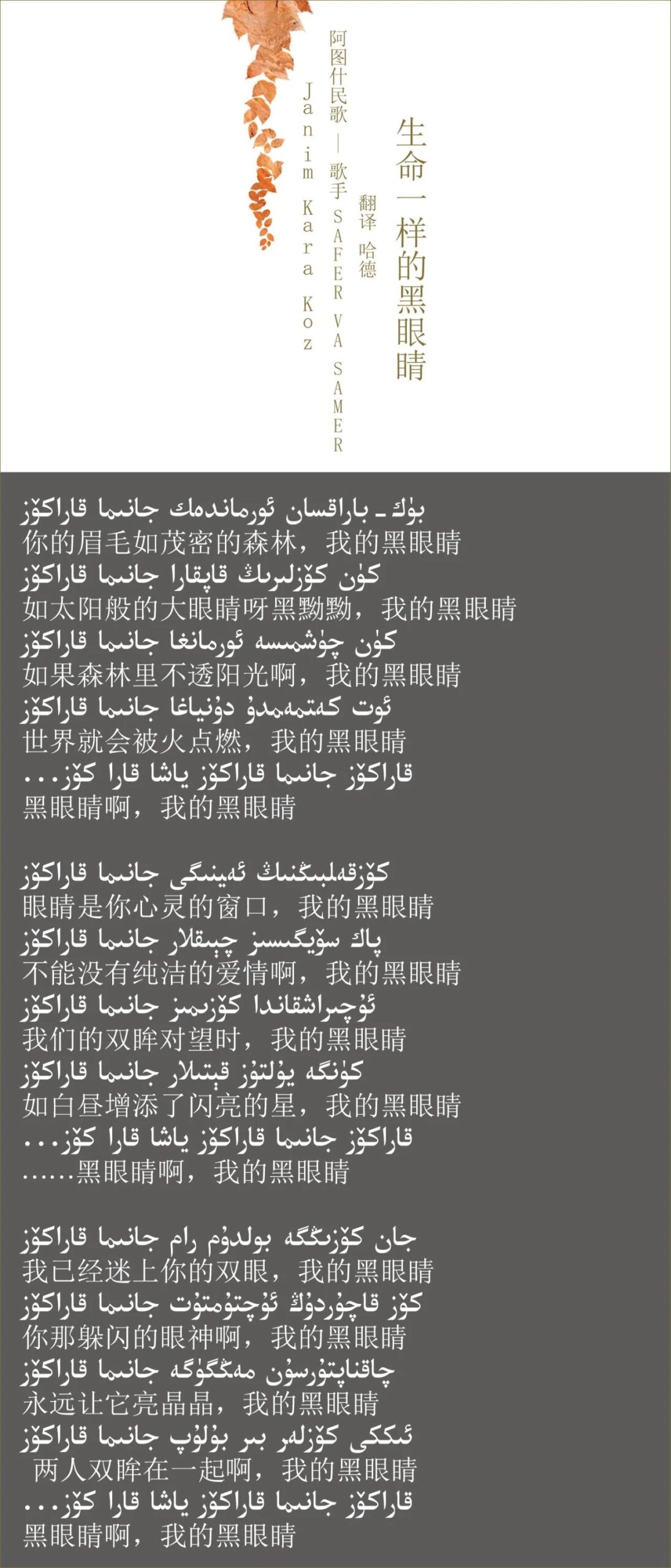 cdtimg