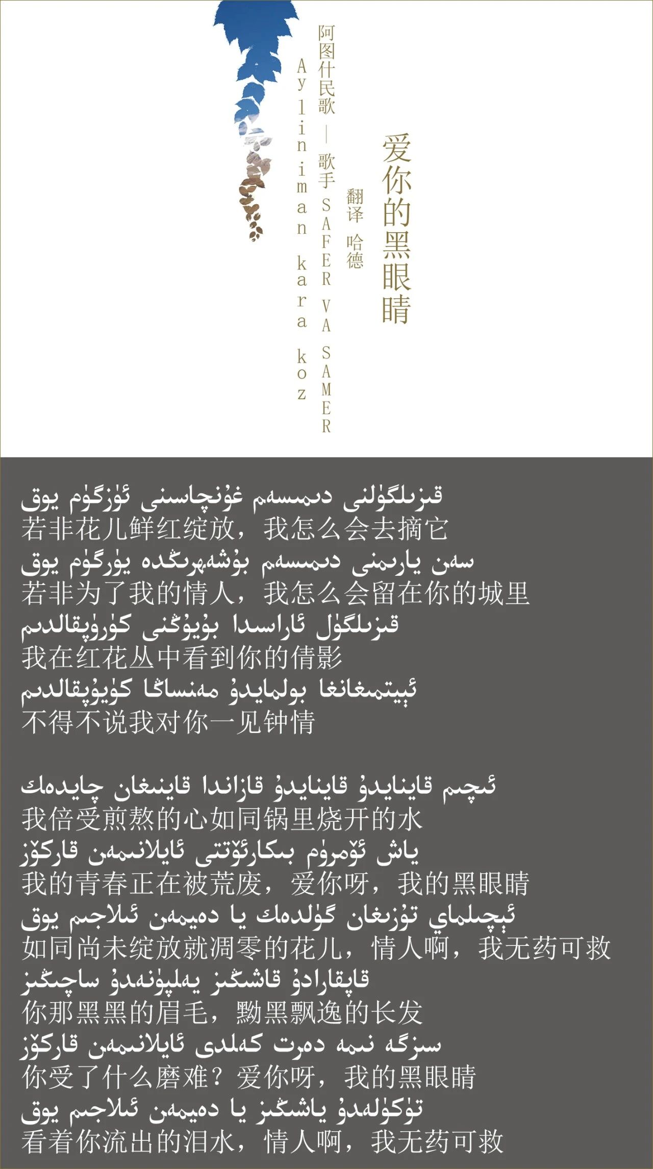 cdtimg
