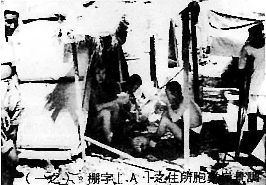 86.jpg