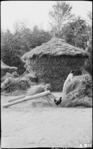 image 39