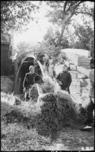 image 40