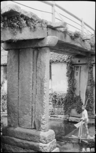 image 43